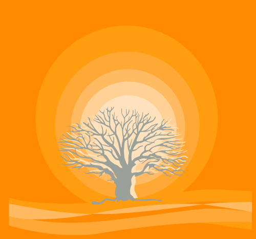 baum_orange