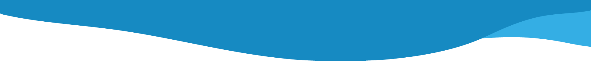 wiildwasser-sections